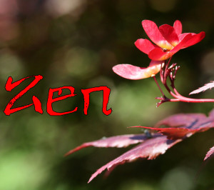 autumn1424598_28001041Zen7